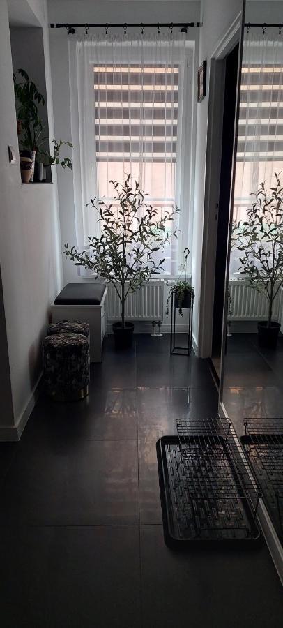 שצ'צ'ין Apartamenty Magvel מראה חיצוני תמונה